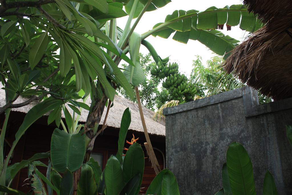 Отель Guava Garden Гили Траванган Экстерьер фото